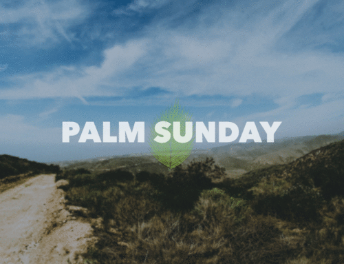 Palm Sunday 2016